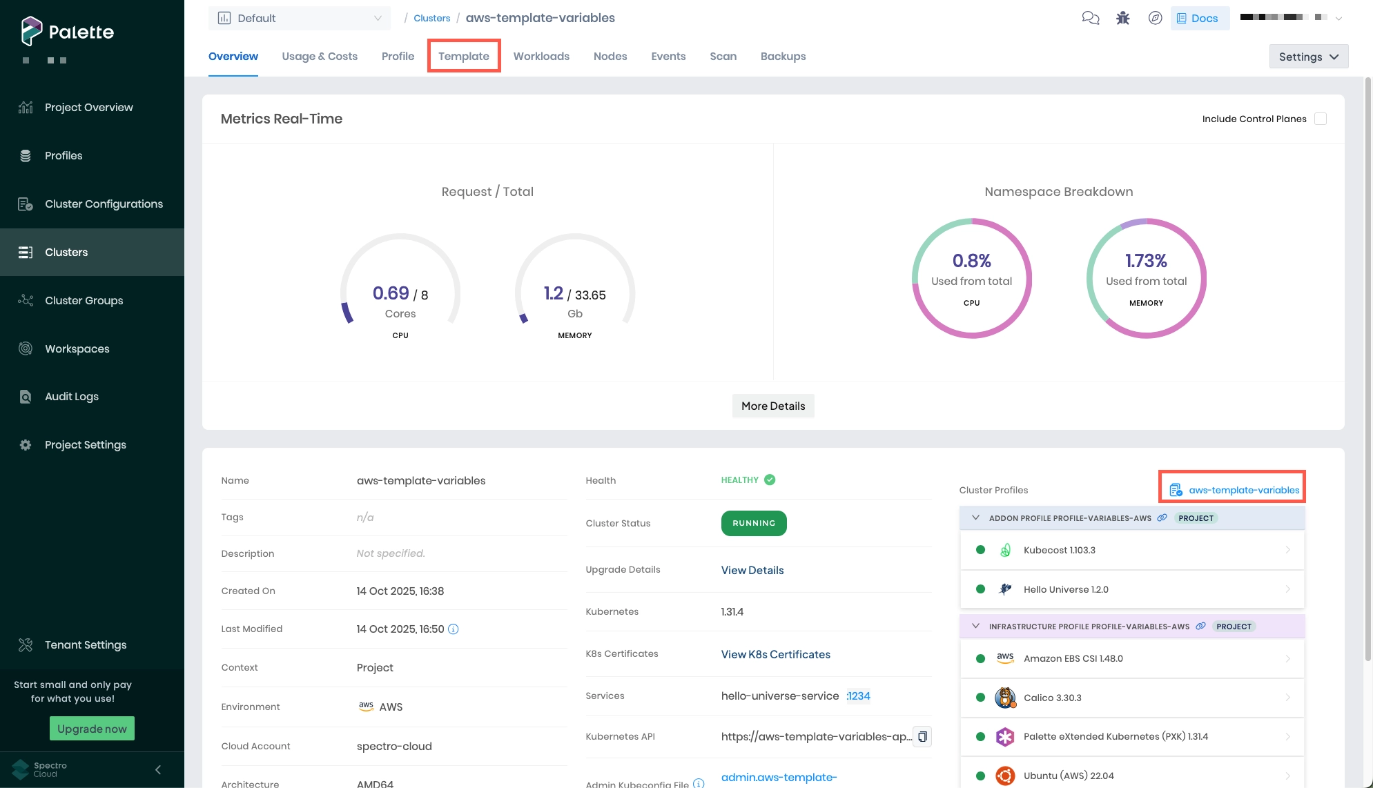 Cluster deployed with cluster template