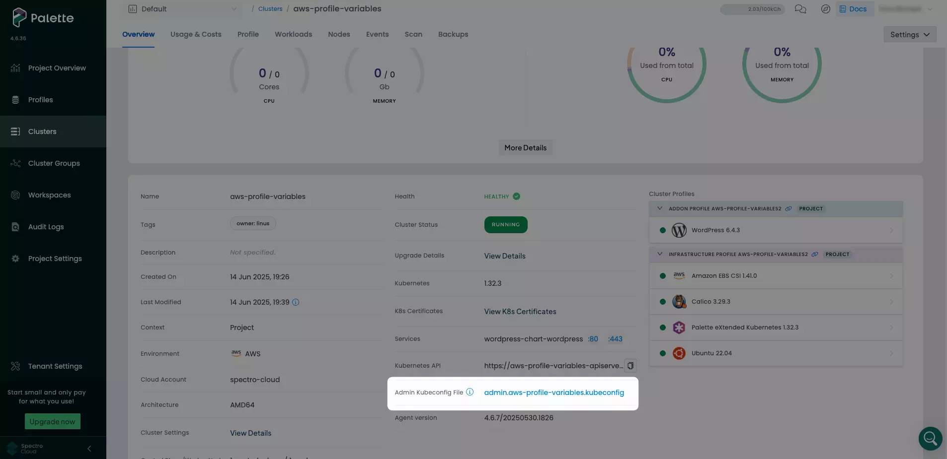 Image that shows how to download kubeconfig file