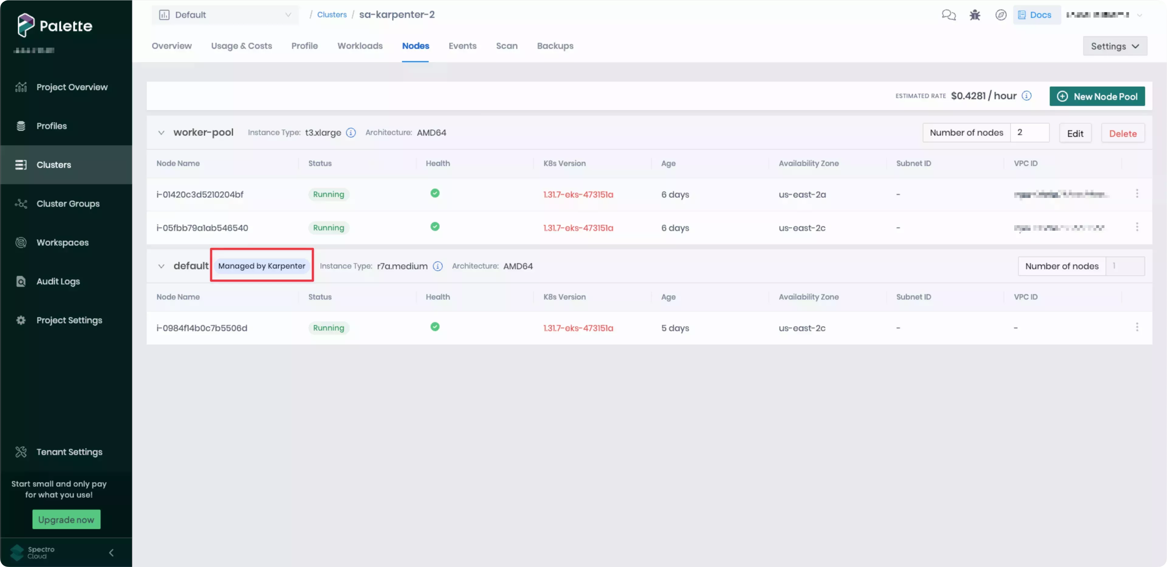 Karpenter node in Palette